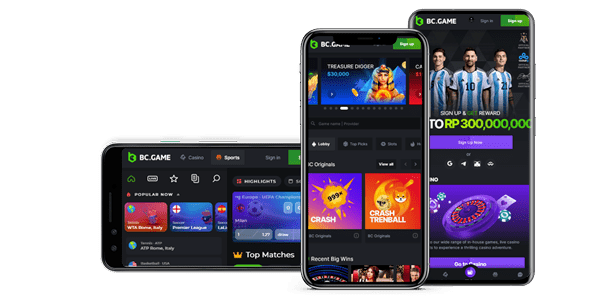Explore the Thrilling World of BC GAME Slots in India