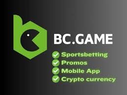 BC.GAME Support Your Go-To Resource for Assistance and Guidance